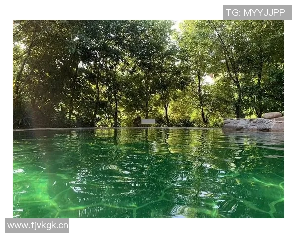 以泳池为核心，打造四季皆宜的度假胜地，体验畅游与悠闲的完美结合